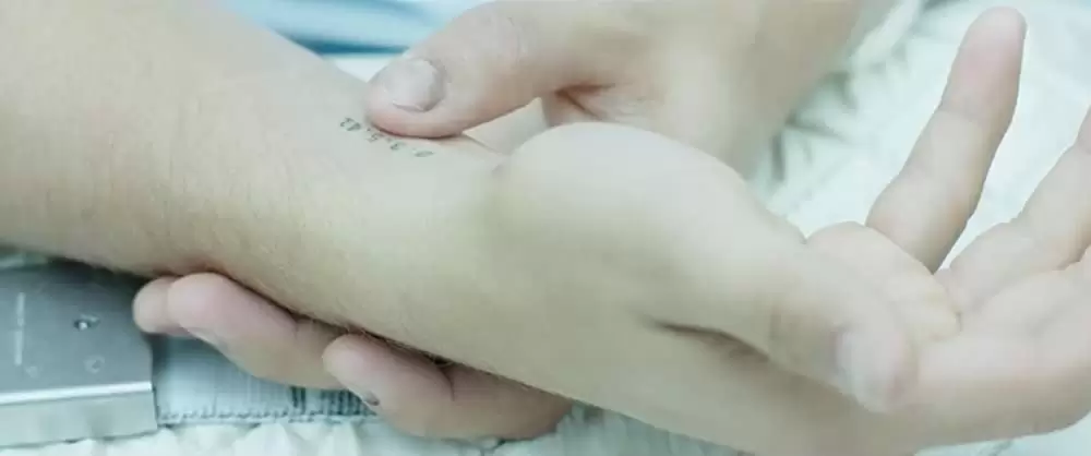 シグナルの画像