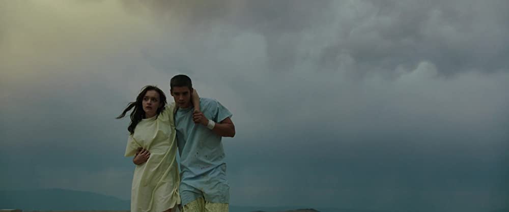 シグナルの画像