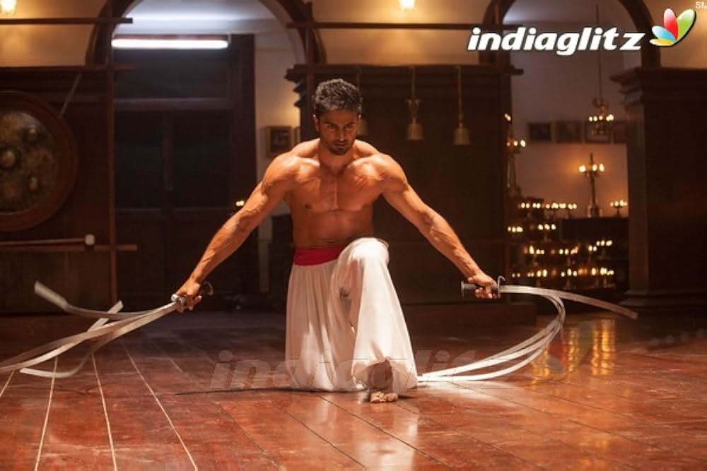 Baaghi（原題）の画像