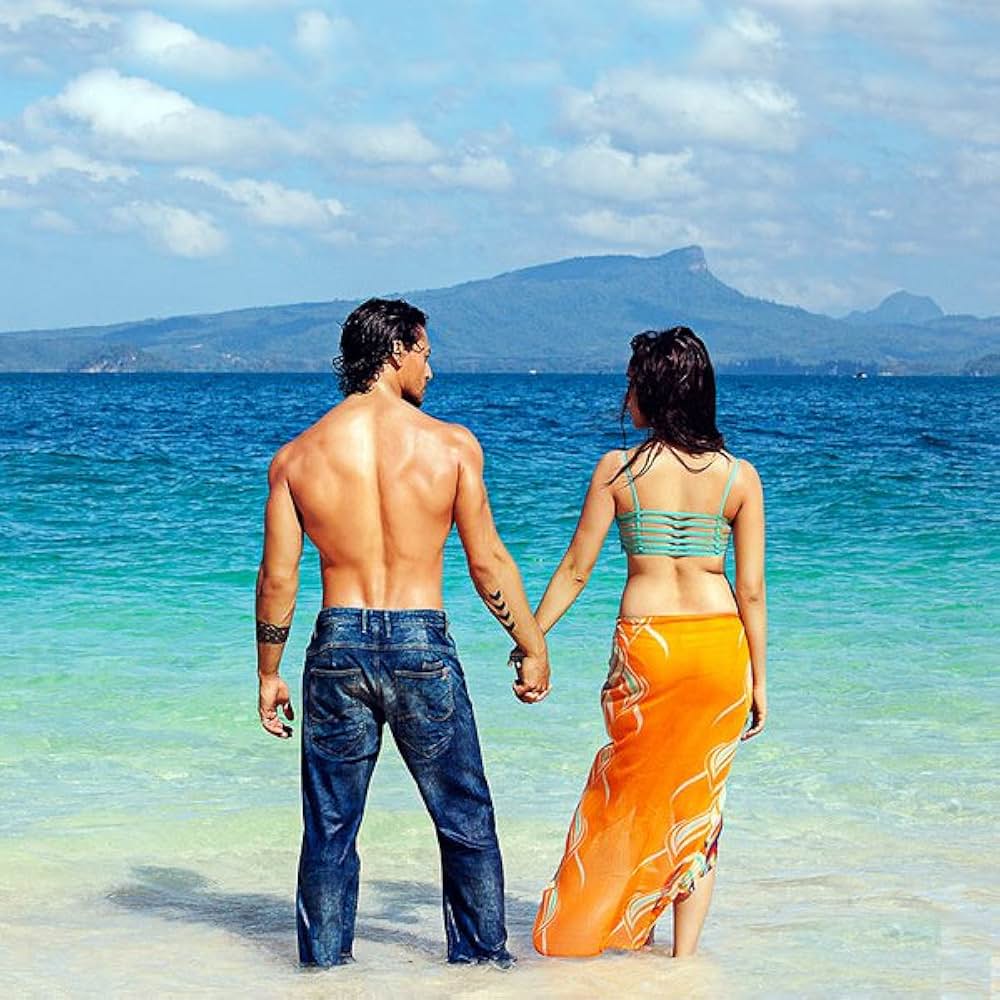 Baaghi（原題）の画像