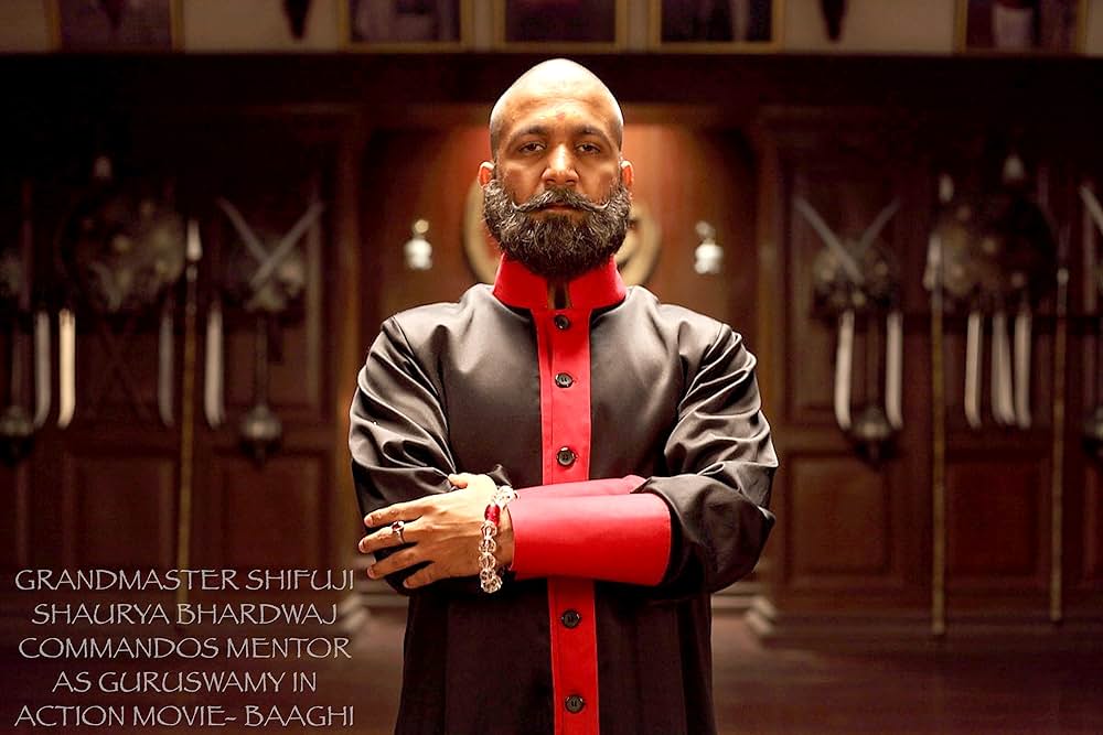 Baaghi（原題）の画像