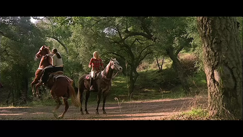 ウェディング・プランナーの画像