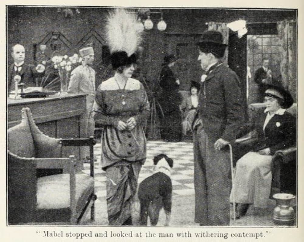 メーベルの窮境の画像