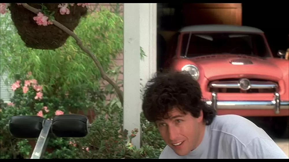 ウェディング・シンガーの画像