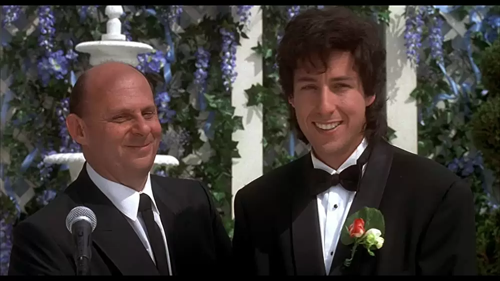 ウェディング・シンガーの画像