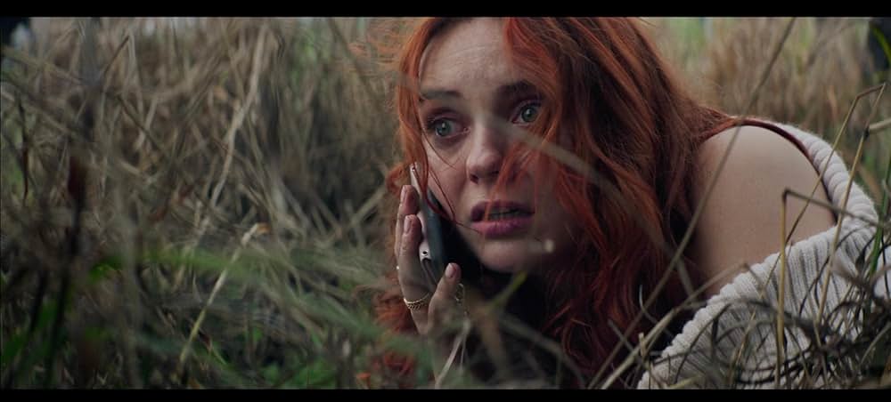 ハートアイズの画像