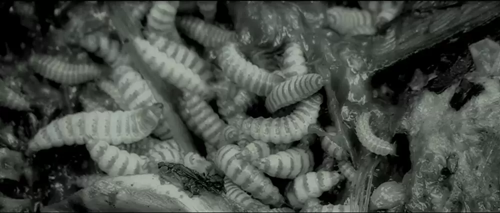 スレンダーマン 奴を見たら、終わりの画像