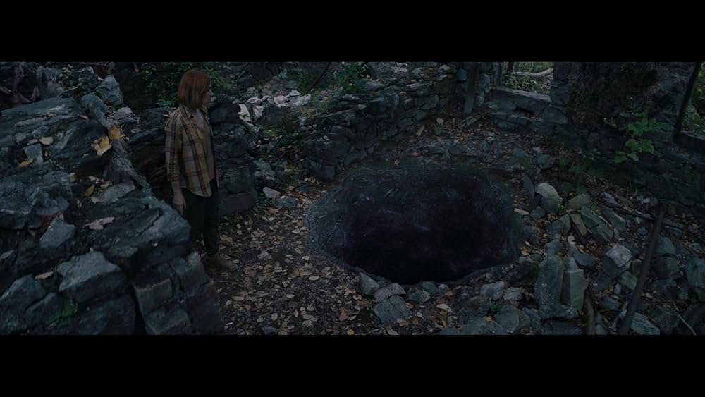 Consumed（原題）の画像