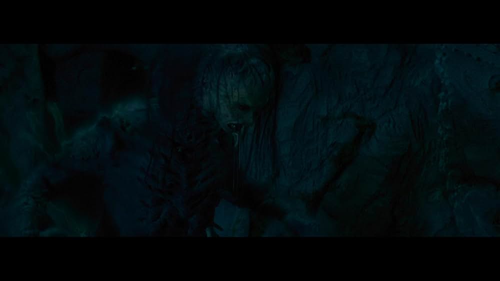 Consumed（原題）の画像