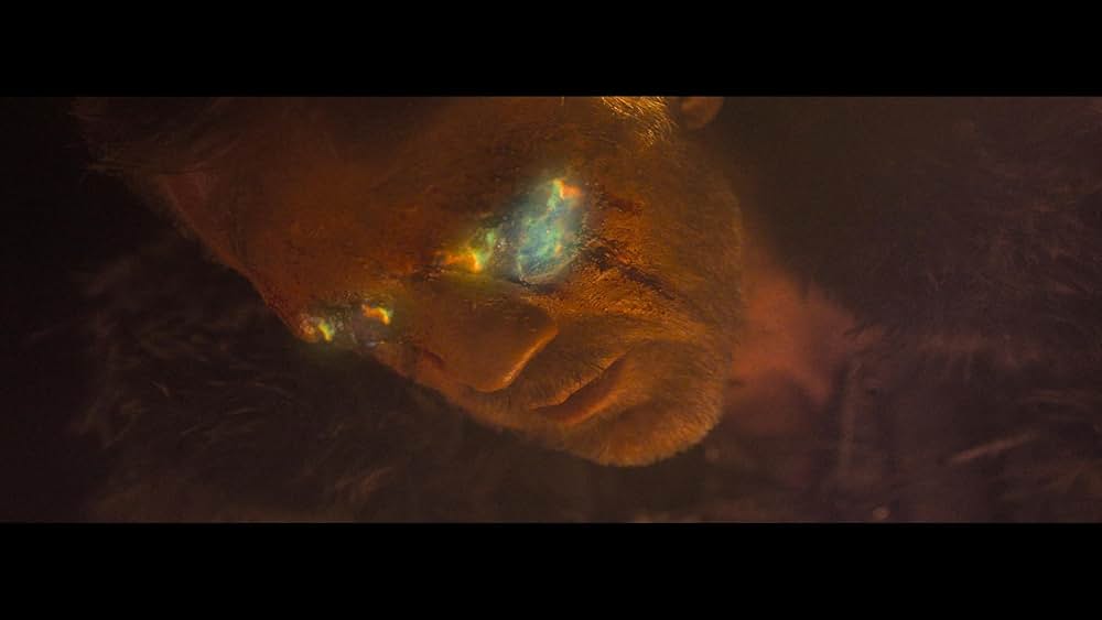 Consumed（原題）の画像