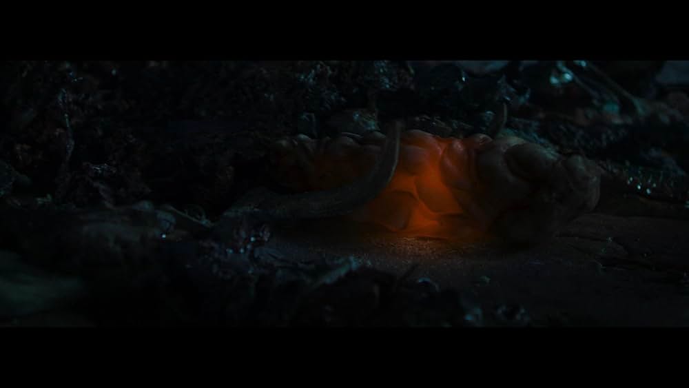 Consumed（原題）の画像