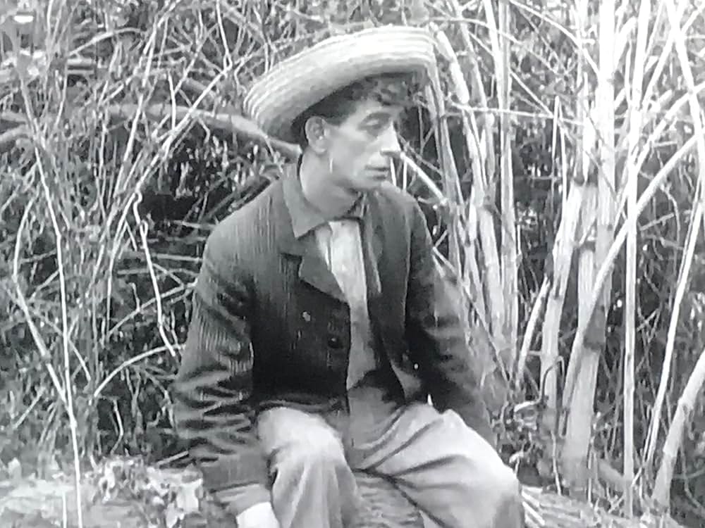 Won in a Closet（原題）の画像