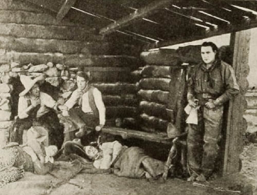 The Virginian（原題）の画像