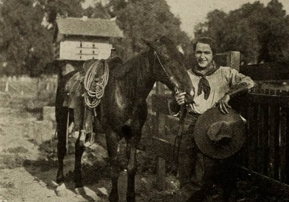 The Virginian（原題）の画像