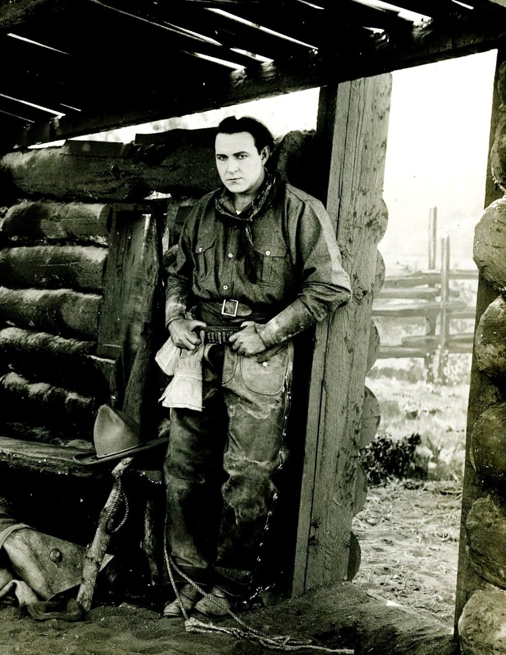 The Virginian（原題）の画像