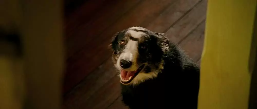 アーサーとふたつの世界の決戦の画像