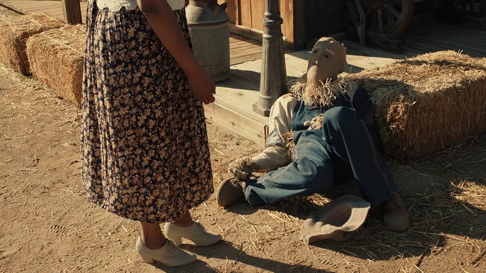 ストローマンの画像