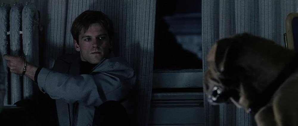 ペイバックの画像