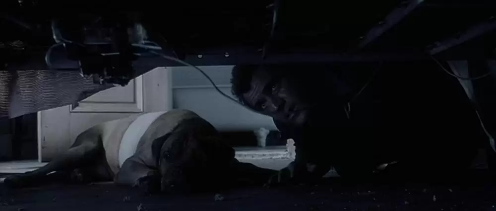 ペイバックの画像