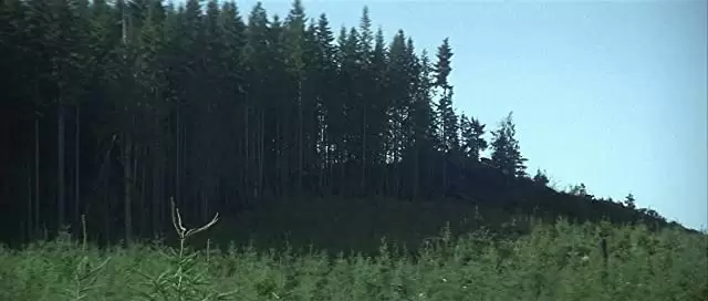 13ウォーリアーズの画像