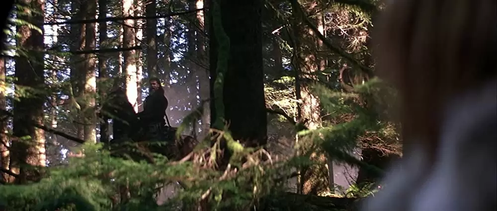 13ウォーリアーズの画像