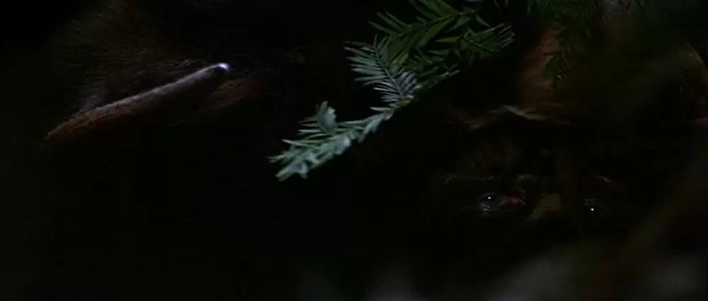 13ウォーリアーズの画像