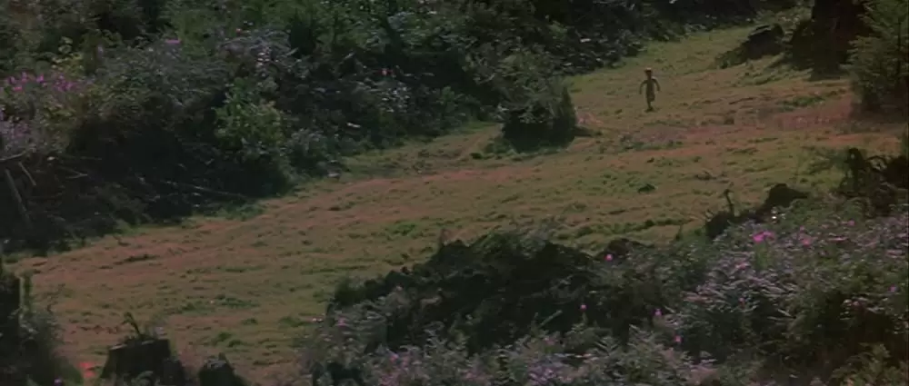 13ウォーリアーズの画像