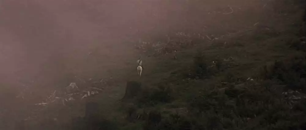 13ウォーリアーズの画像