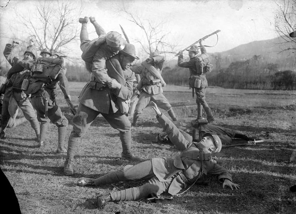 アルピノの画像