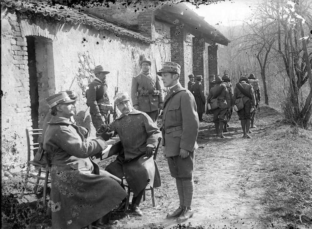 アルピノの画像