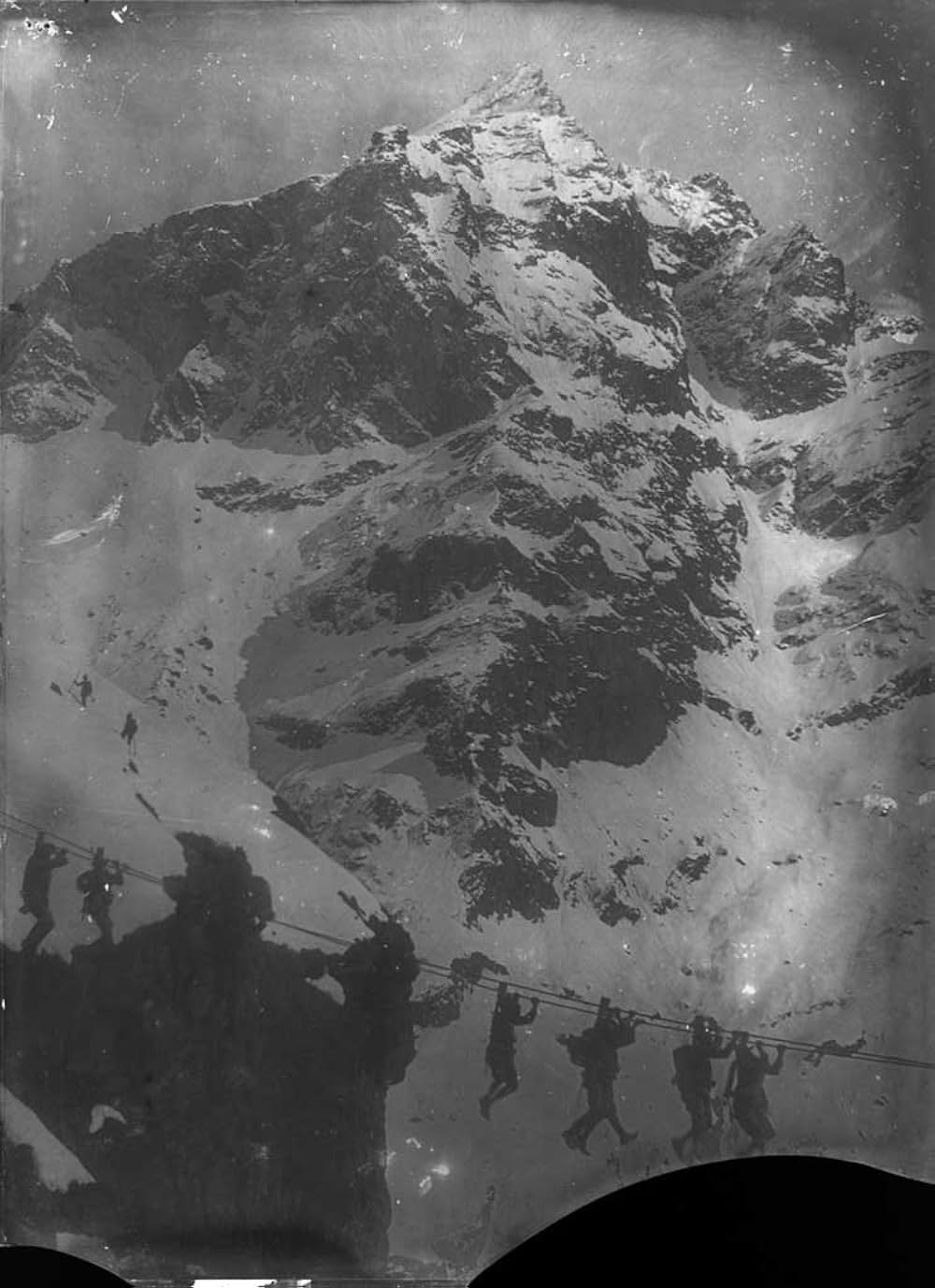 アルピノの画像