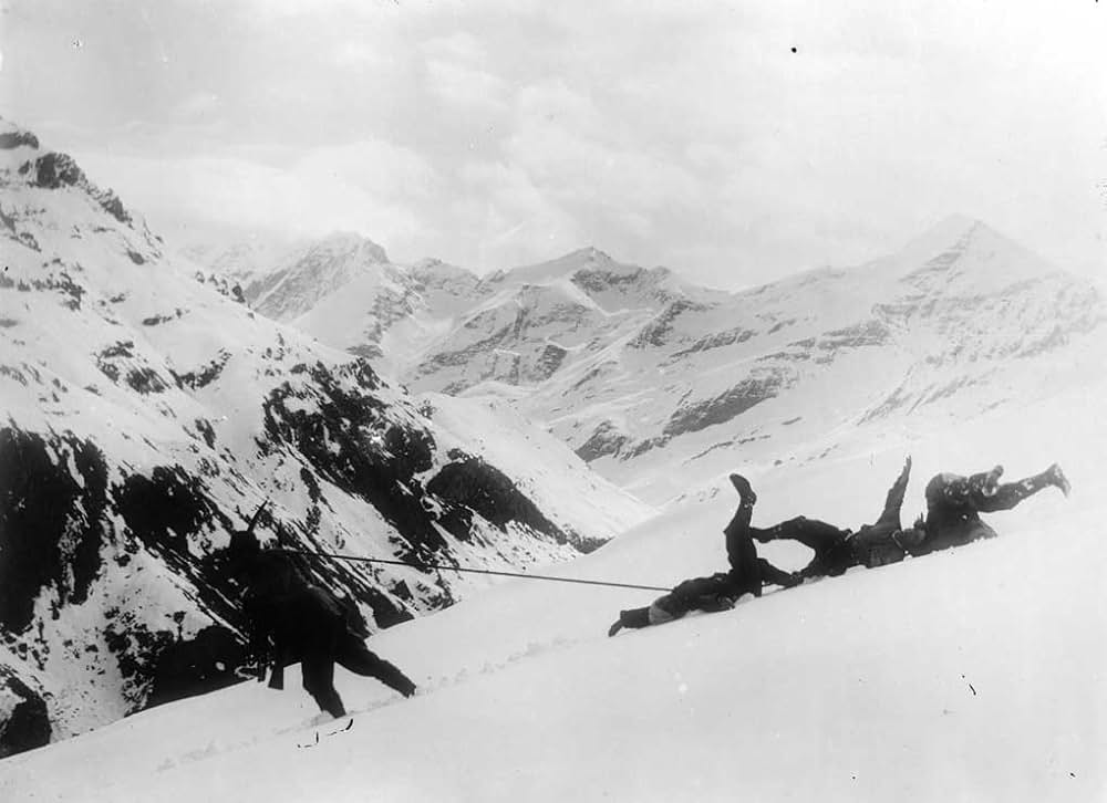 アルピノの画像