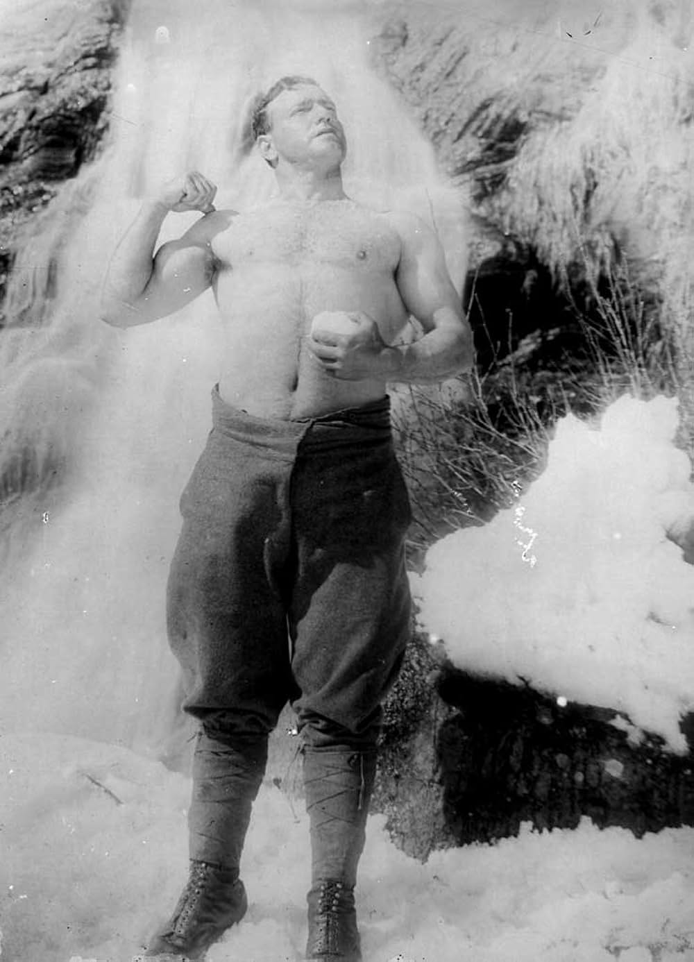 アルピノの画像