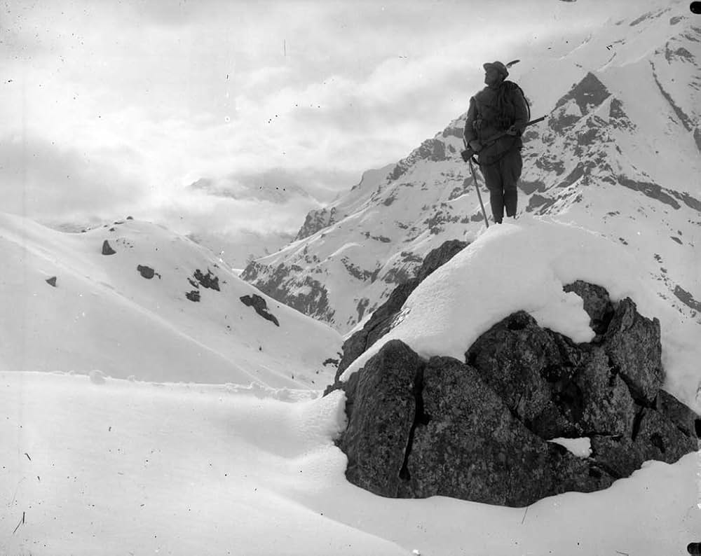 アルピノの画像