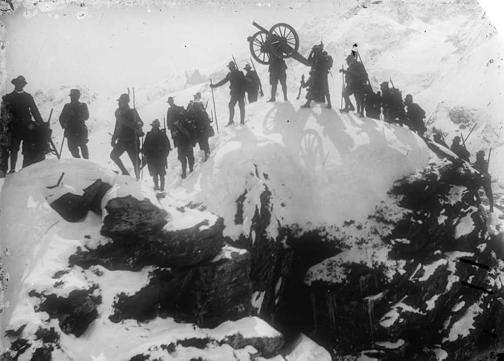 アルピノの画像