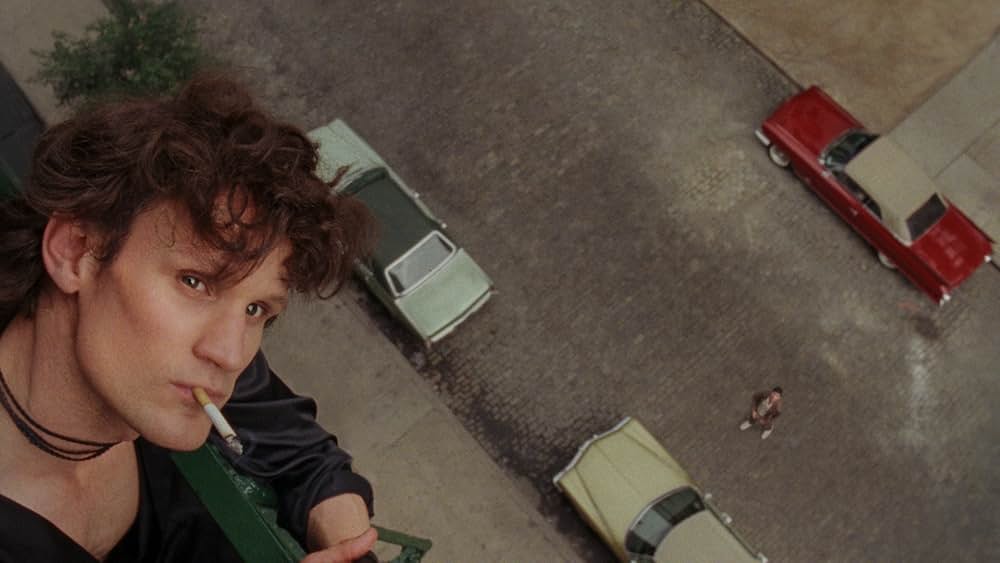 Mapplethorpe（原題）の写真