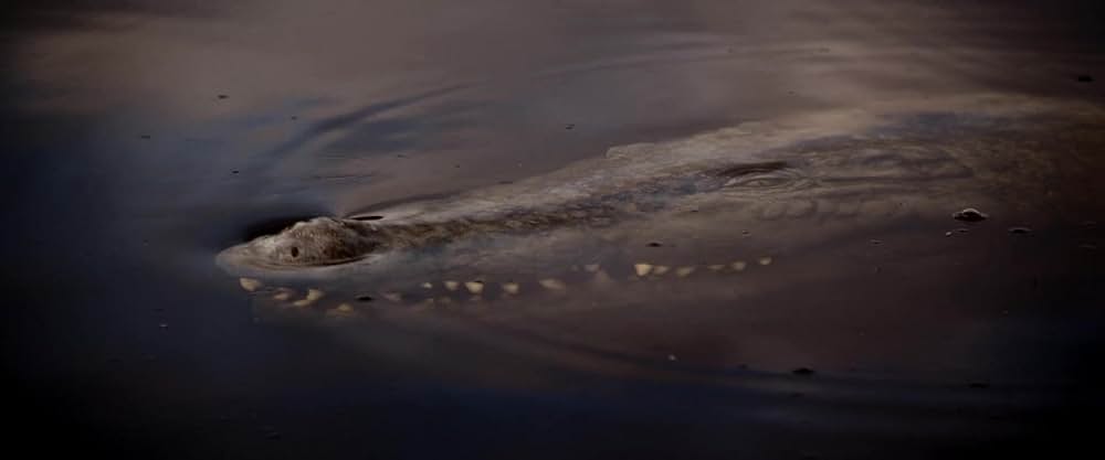 ハングリー・アタックの画像