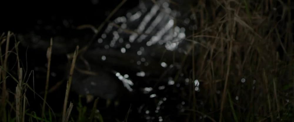 ハングリー・アタックの画像