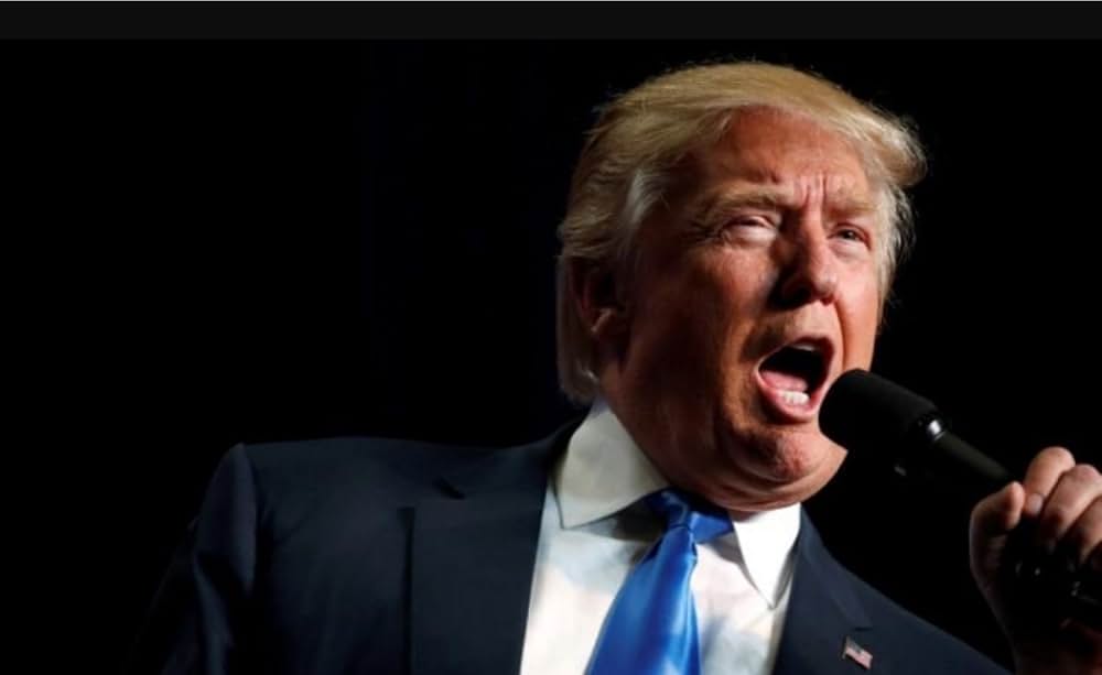 Michael Moore in TrumpLand（原題）の画像