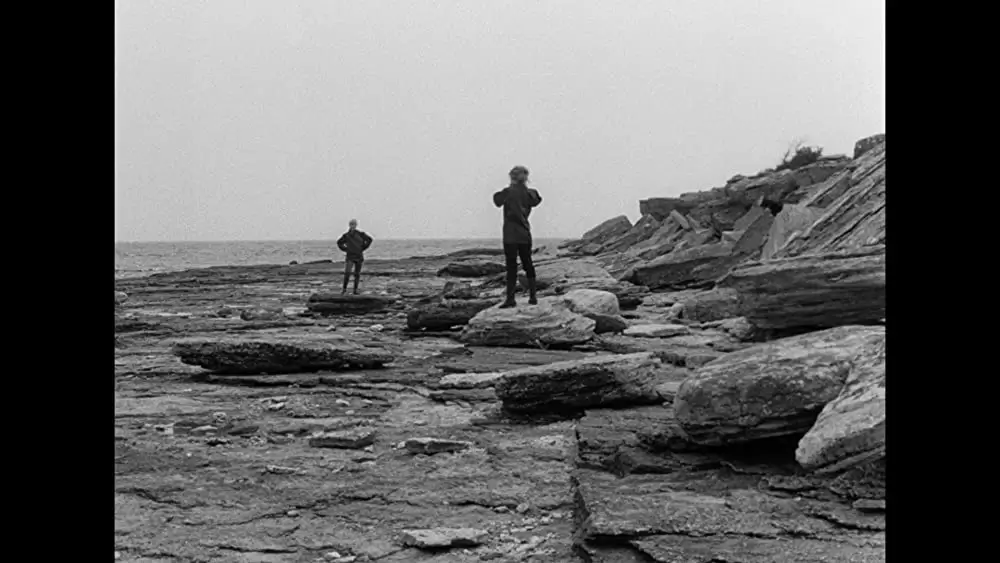 仮面／ペルソナの画像