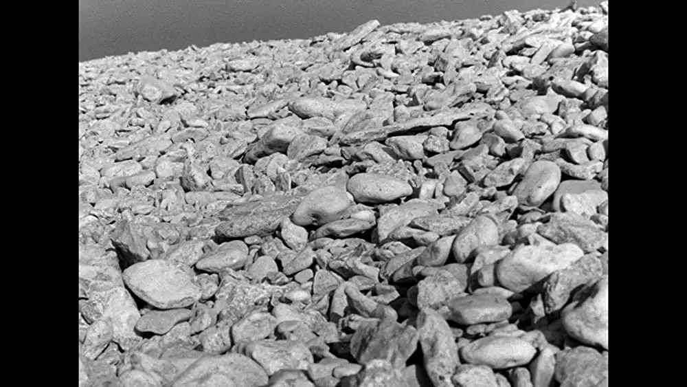 仮面／ペルソナの画像