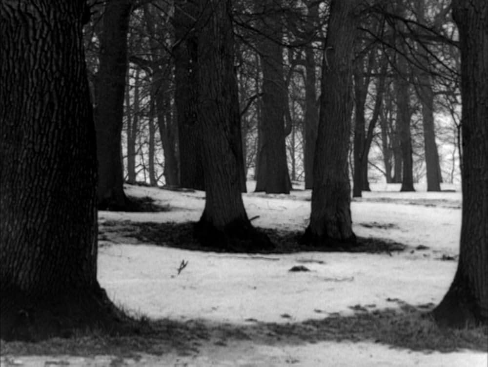 仮面／ペルソナの画像