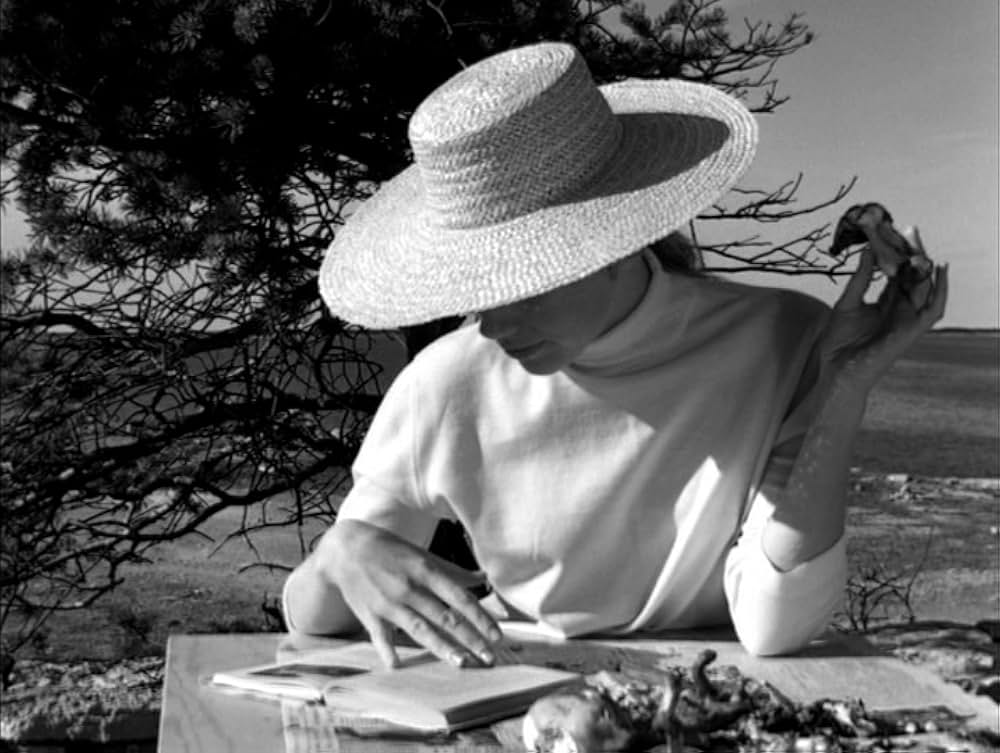 仮面／ペルソナの画像