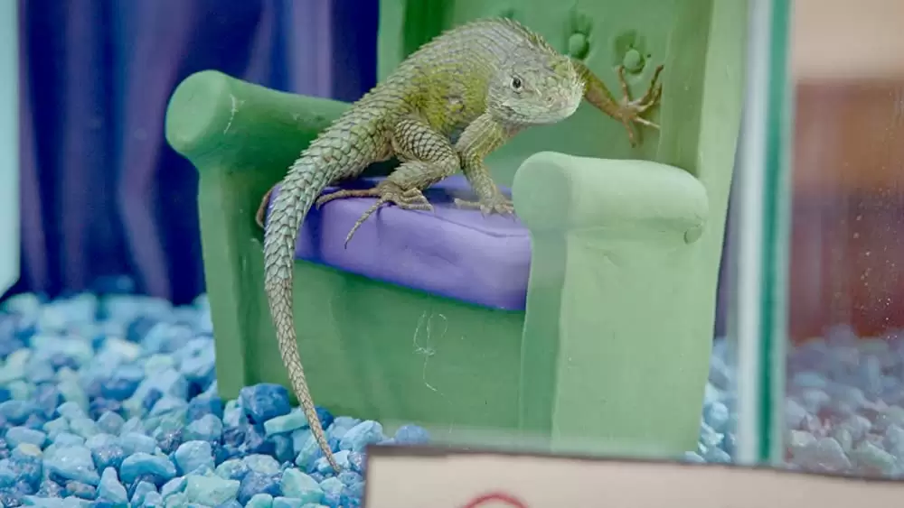 ディセンダント2の画像