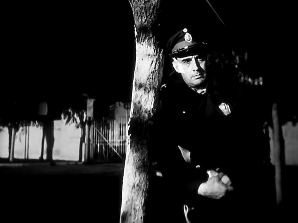 孤独な少年のクロニクルの画像