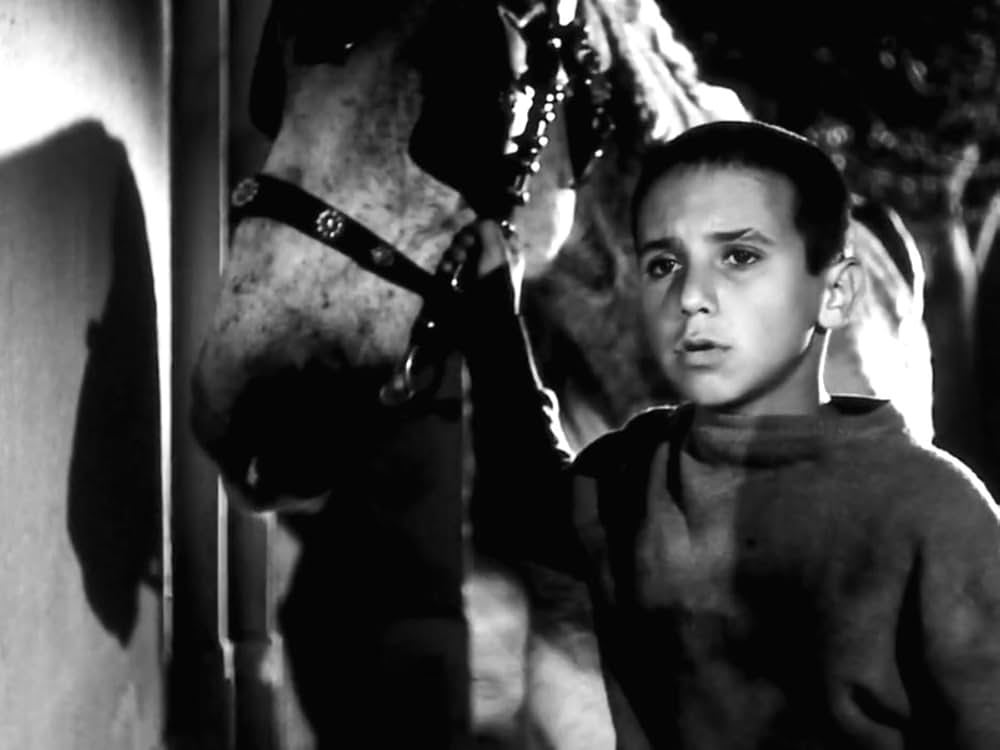 孤独な少年のクロニクルの画像