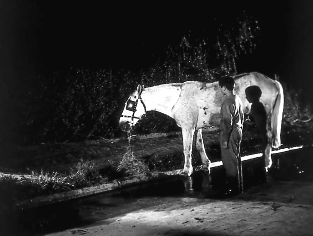 孤独な少年のクロニクルの画像