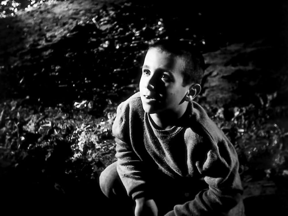 孤独な少年のクロニクルの画像