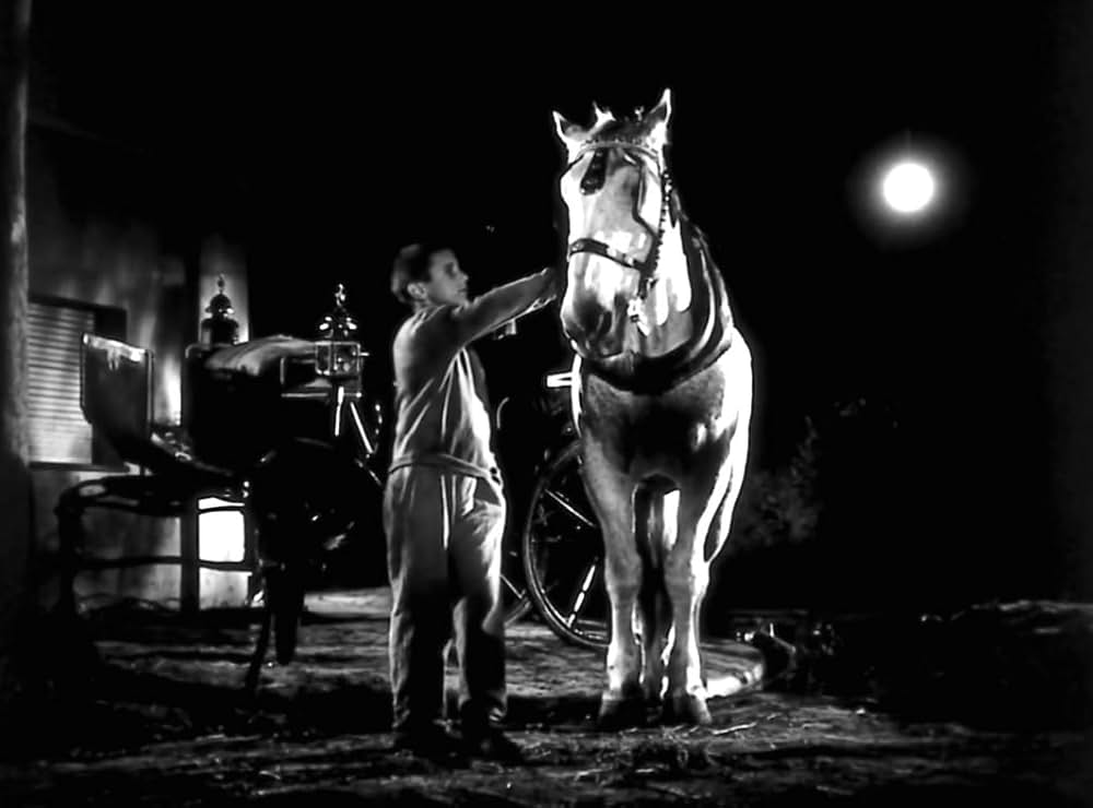 孤独な少年のクロニクルの画像