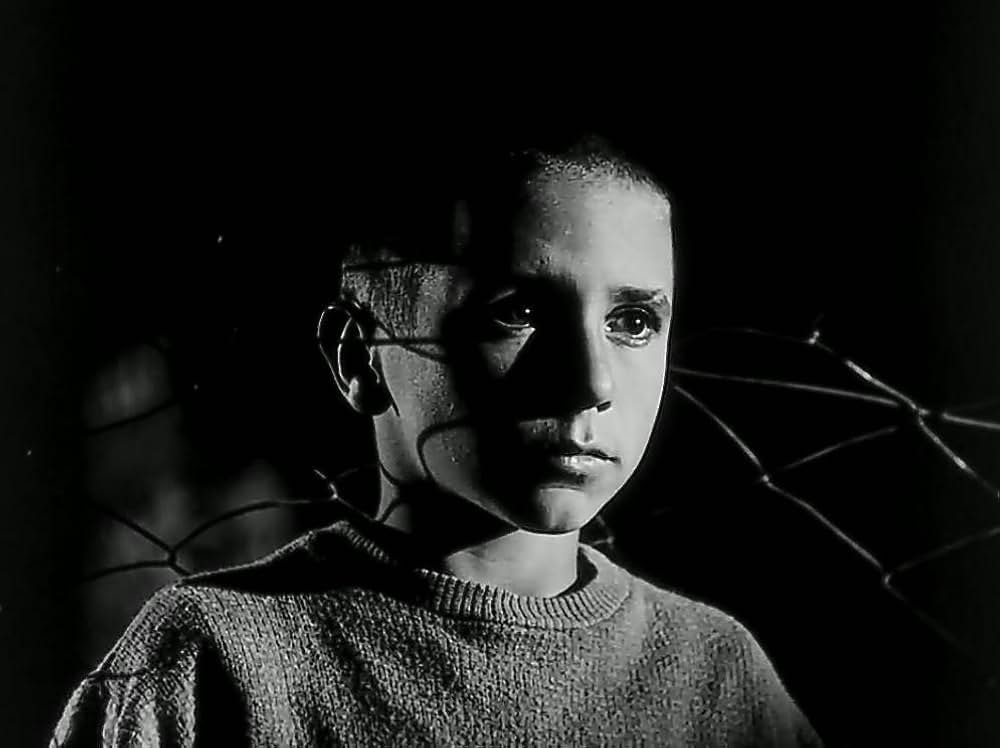 孤独な少年のクロニクルの画像